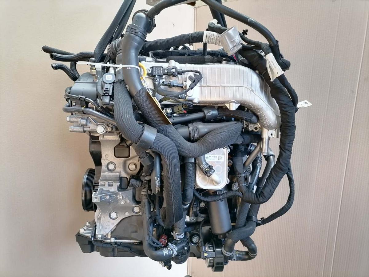 VW Passat B9 original Motor DXPB 2,0TDI 110KW funktionsgepr&uuml;ft Bj.2024